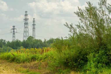 Yaz fotoğrafçılığı manzarası, sel otlakları biçildi. bir parça gr