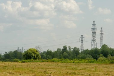 Yaz fotoğrafçılığı manzarası, sel otlakları biçildi. bir parça gr