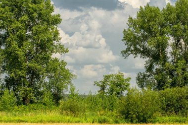 Yaz fotoğrafçılığı manzarası, sel otlakları biçildi. bir parça gr