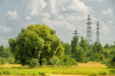 Yaz fotoğrafçılığı manzarası, sel otlakları biçildi. bir parça gr
