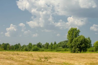 Yaz fotoğrafçılığı manzarası, sel otlakları biçildi. bir parça gr