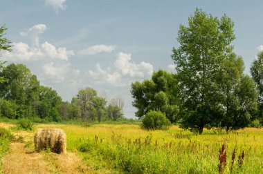 Yaz fotoğrafçılığı manzarası, sel otlakları biçildi. bir parça gr