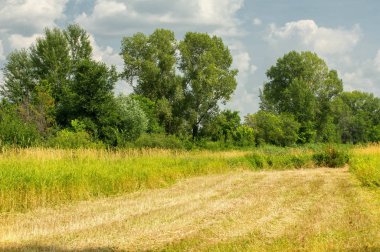 Yaz fotoğrafçılığı manzarası, sel otlakları biçildi. bir parça gr