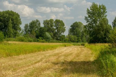 Yaz fotoğrafçılığı manzarası, sel otlakları biçildi. bir parça gr