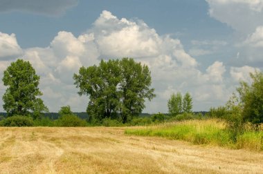 Yaz fotoğrafçılığı manzarası, sel otlakları biçildi. bir parça gr