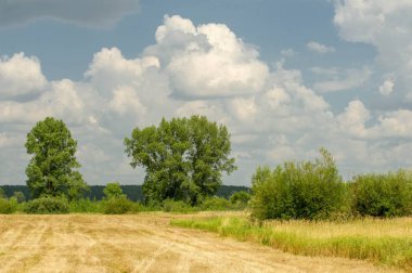 Yaz fotoğrafçılığı manzarası, sel otlakları biçildi. bir parça gr