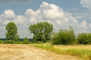 Yaz fotoğrafçılığı manzarası, sel otlakları biçildi. bir parça gr