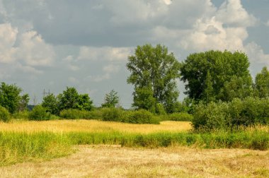 Yaz fotoğrafçılığı manzarası, sel otlakları biçildi. bir parça gr