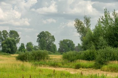 Yaz fotoğrafçılığı manzarası, sel otlakları biçildi. bir parça gr
