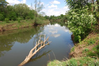 Bahar Nehri