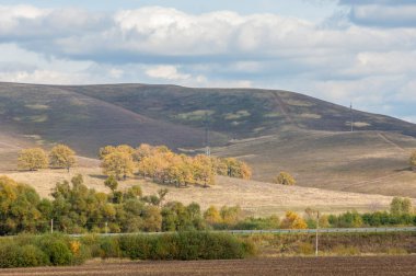 Karayolu. parlak sonbahar ağaçlar. Yolun, altın tim bölümü
