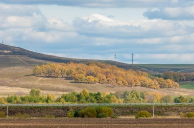 Karayolu. parlak sonbahar ağaçlar. Yolun, altın tim bölümü
