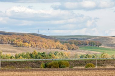 Karayolu. parlak sonbahar ağaçlar. Yolun, altın tim bölümü