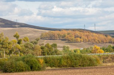 Karayolu. parlak sonbahar ağaçlar. Yolun, altın tim bölümü