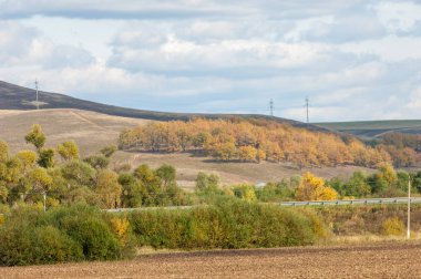 Karayolu. parlak sonbahar ağaçlar. Yolun, altın tim bölümü
