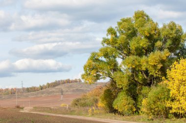 Karayolu. Gökyüzüne doğru uzanan yol