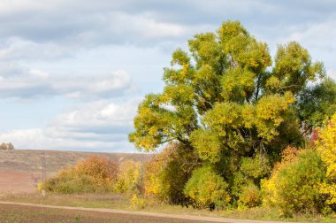 Karayolu. Gökyüzüne doğru uzanan yol