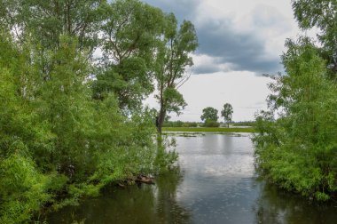 Sel suları. Sel, üste çıkan bir sıvıdır. Yüksek s