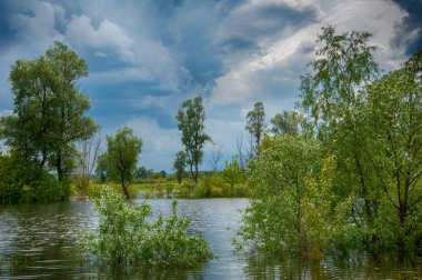 sel suları bastığında. bir sel sonucu olarak taşan su.