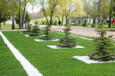 Arkaplan resminin dokusu, ilkbahar kentsel manzarası