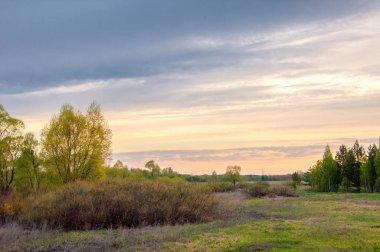 Bahar manzarası, gün doğumu. Ağaçlı çayır, kırsal arazi