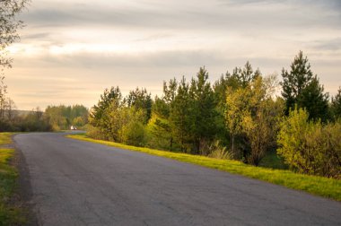 Bahar manzarası, gün doğumu. Ağaçlı çayır, kırsal arazi