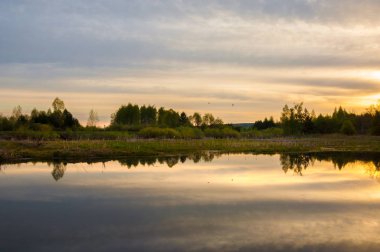 Bahar yemekleri. Bataklıklı güzel bir bahar manzarası, Sunr.