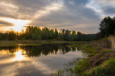 Bahar yemekleri. Bataklıklı güzel bir bahar manzarası, Sunr.