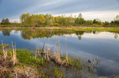 Bahar yemekleri. Bataklıklı güzel bir bahar manzarası, Sunr.
