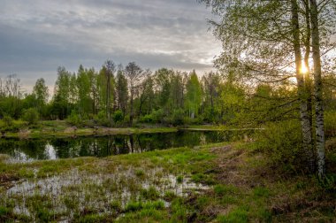 Bahar yemekleri. Bataklıklı güzel bir bahar manzarası, Sunr.