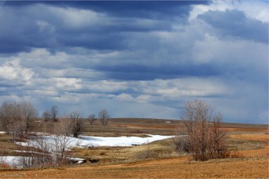 Spring photography, the last snow-white snow, nature wakes up from winter frosts,