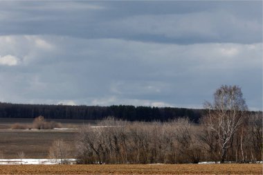 Spring photography, the last snow-white snow, nature wakes up from winter frosts,