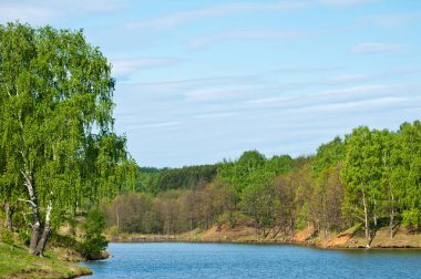 Bahar ağacı yaprakları olmadan