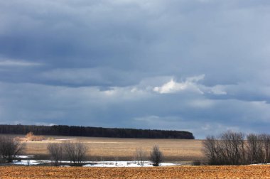 Willow, hasır, soluk