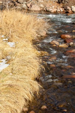Spring Creek