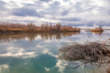 Bahar bozkırında nehir