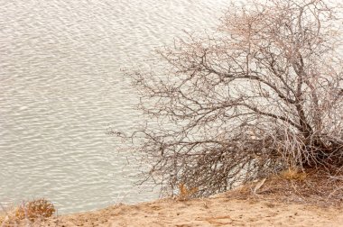 Bahar bozkırında nehir
