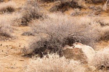 Bahar bozkırında nehir