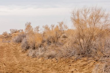 Bahar bozkırında nehir