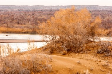 Bahar bozkırında nehir