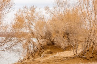 Bahar bozkırında nehir