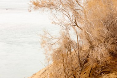 Bahar bozkırında nehir