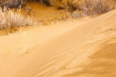 Bahar bozkırında nehir