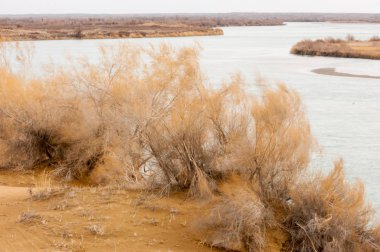 Bahar bozkırında nehir