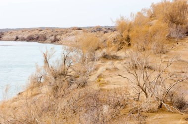 Bahar bozkırında nehir