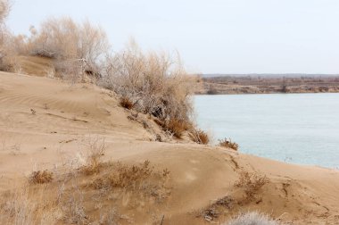 Bahar bozkırında nehir