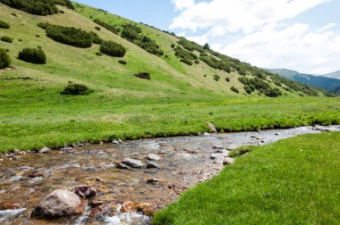 dağ, dağ, tepe. Kazakistan. Tien Shan. Takma Yaylası