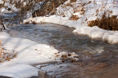 Spring Creek