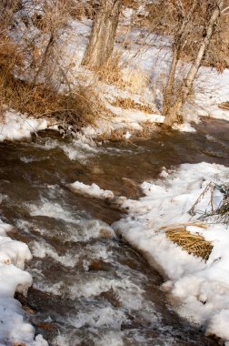 Spring Creek