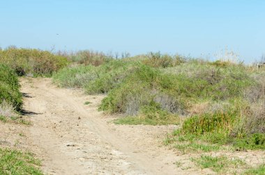 Kumlar Çöl Pınarı